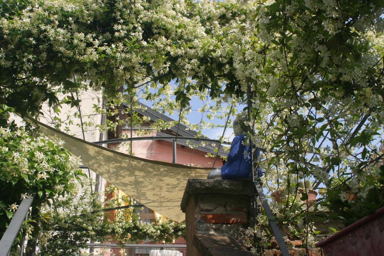 Lori'S Inn Mondovì Екстериор снимка