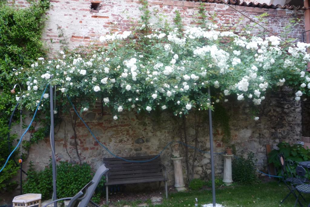 Lori'S Inn Mondovì Екстериор снимка
